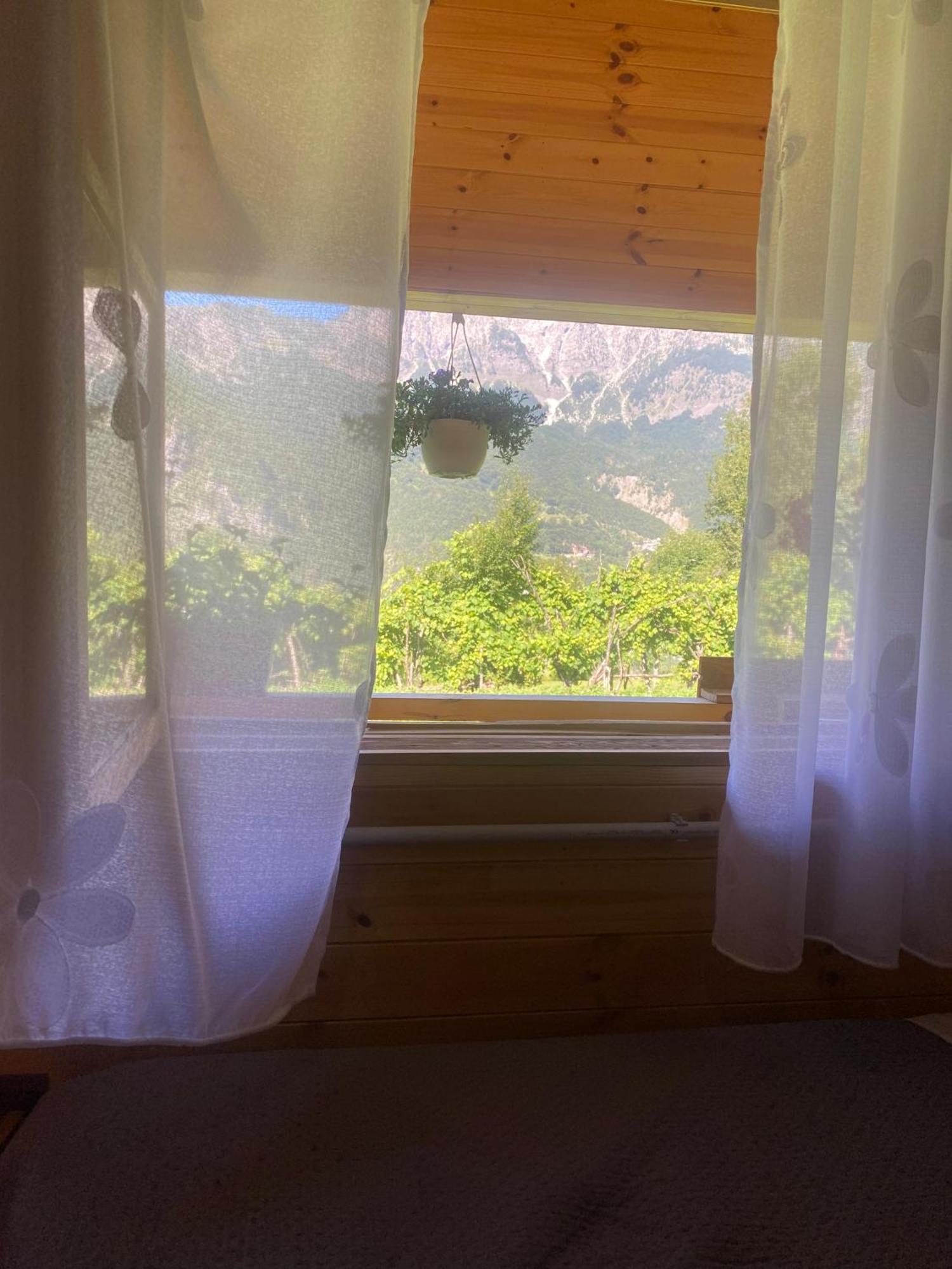 ホテル Bujtina Shkambi テス エクステリア 写真